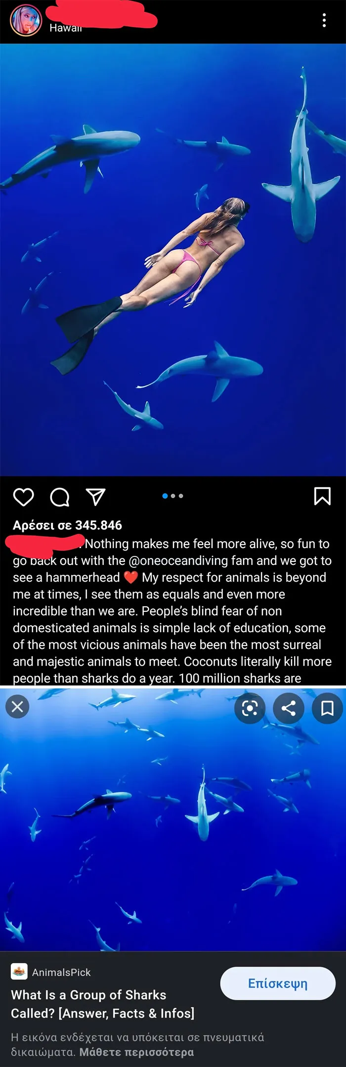 Faking Swimming With Sharks Is A Thing Now I Guess, By Blatantly Stealing A Background Image From The Internet