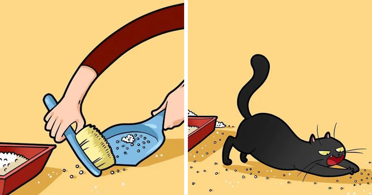 Esta artista ilustra los divertidos momentos de la vida de todo dueño de gatos (22 nuevas imágenes)