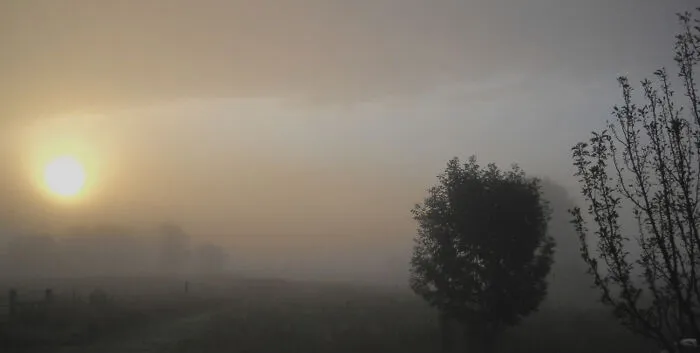 Misty Morning