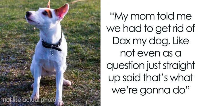 Teenager Is Forced To Choose Between His Beloved Dog And His Family, He Chooses Dax The Dog