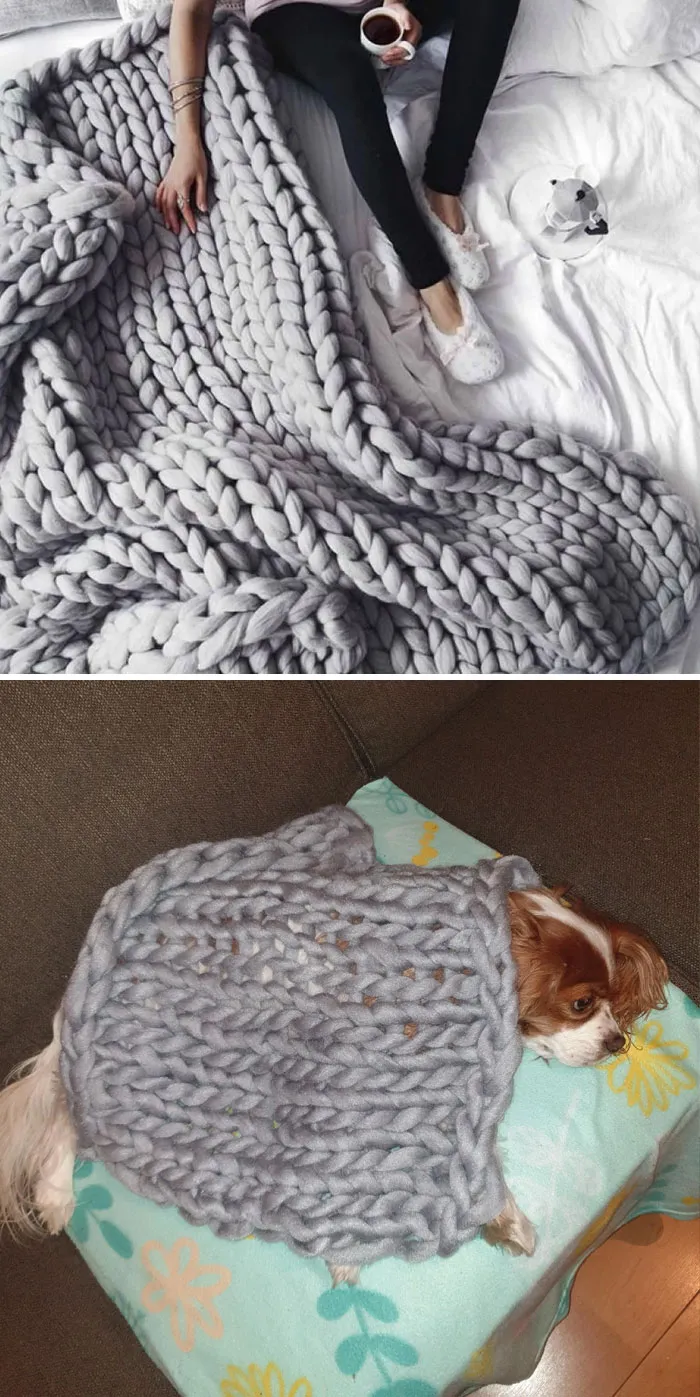 Lo que pedimos vs. lo que recibimos (con mi perro)
