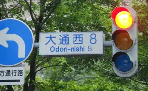 39 Bizarre Things That Seem Normal In Some Countries, But Not In The Rest Of The World