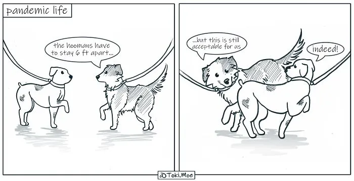 Here Are 30 More Relatable Comics About Life With Animals