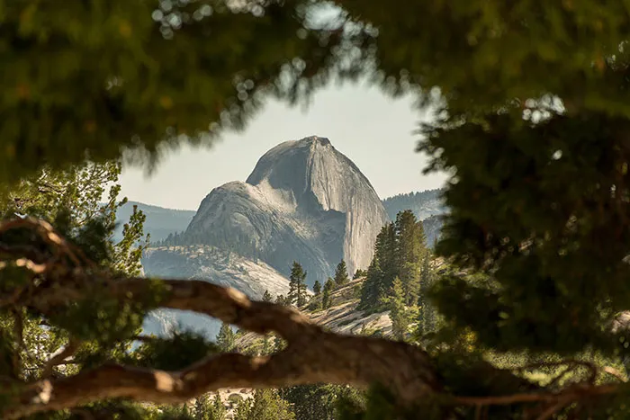 I've Been Told My Photo Of Half Dome Looks Like A Videogame Render