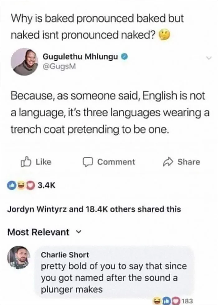 40 Times The English Language Drove The People Learning It To Utter Frustration
