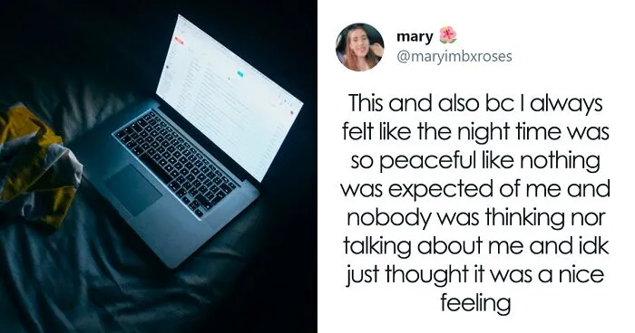Staying Up Late A Lot Might Mean You’re Affected By Revenge Bedtime Procrastination, And This Twitter User Went Viral For Explaining Why
