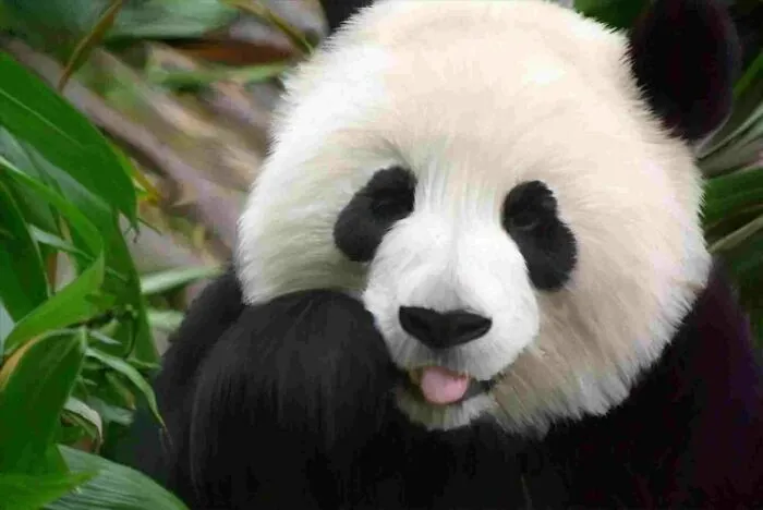 So Cute! (Not My Photo!!!)