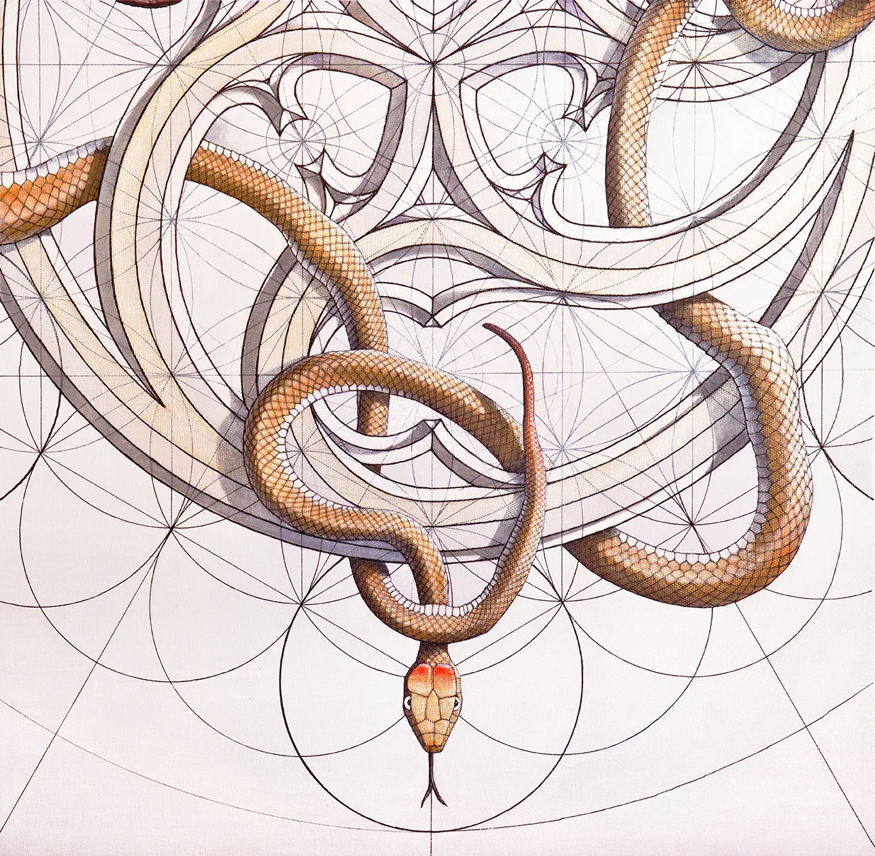 Rafael Araujo Is Back With A Second Coloring Book, And It's As Brilliant As The First One.