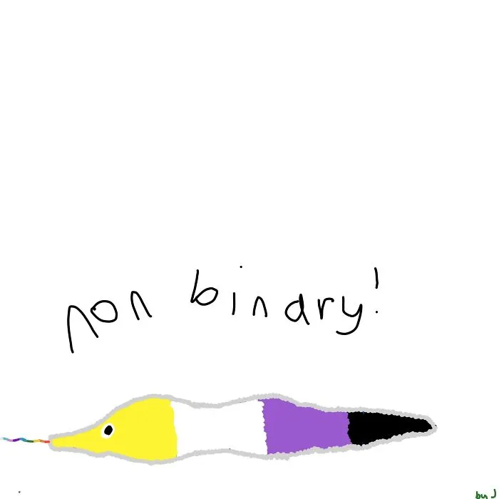 Non Binary For My Nb Friends!