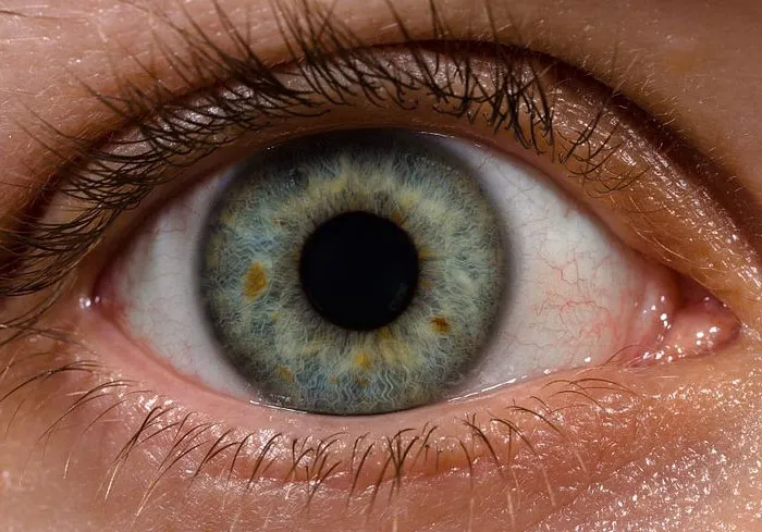 Rare-Interesting-Body-Facts