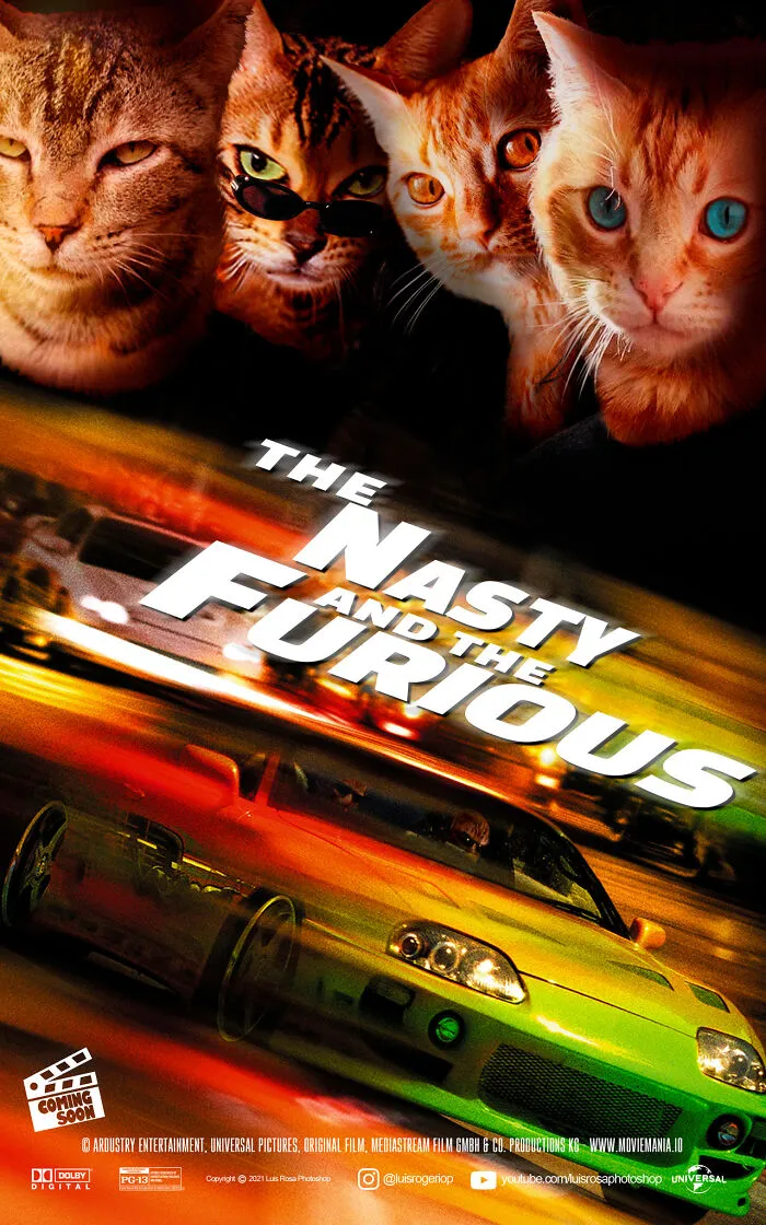 The Nasty And The Furious