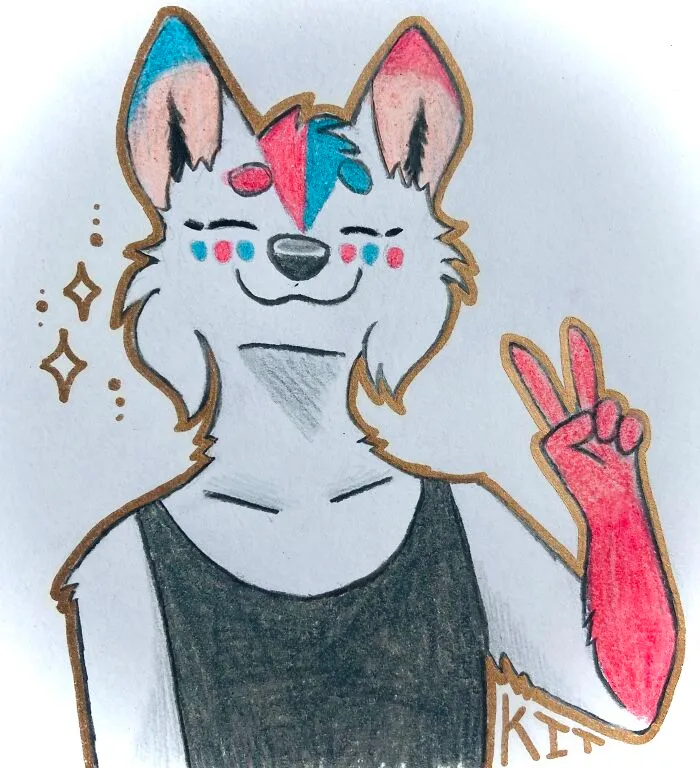 A Commission For Kit The Furry!