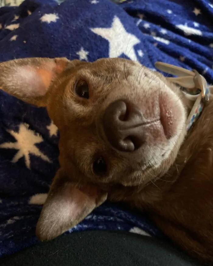 Hello!
