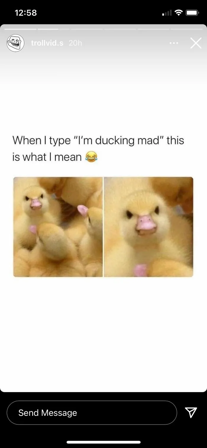 Duck This!!