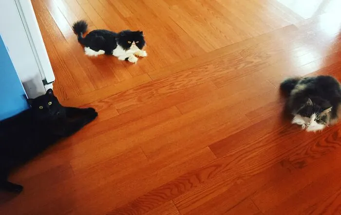 Walked In On A Meeting In Progress