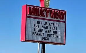 This Ice Cream Shop Is Winning The Funny Sign Game (21 Pics)