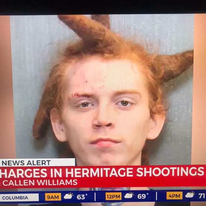 Hazme ese corte de pelo de cheeto peludo