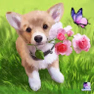 Gavin Se
