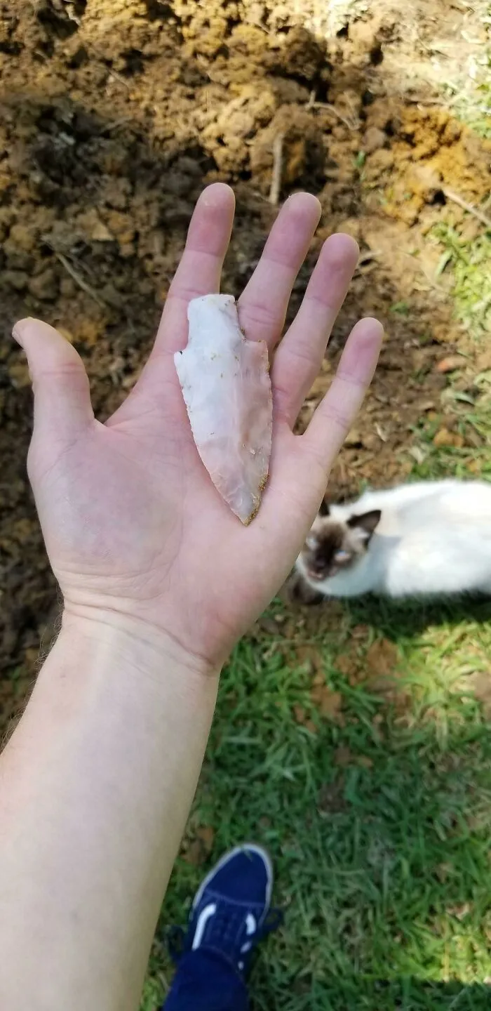 Encontré esta punta de flecha mientras cavaba un agujero en mi patio trasero