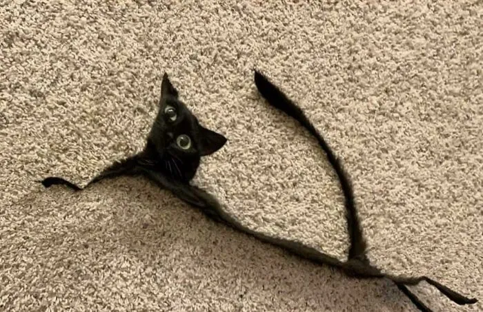 To Make A Cute Panorama Picture
