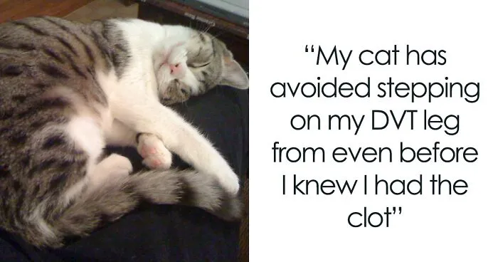 30 Incredibly Kind Acts Pets Did For Their Owners That Prove A Pet's Love Has No Limits