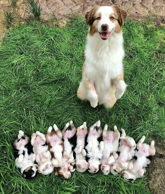  Momento de madre orgullosa