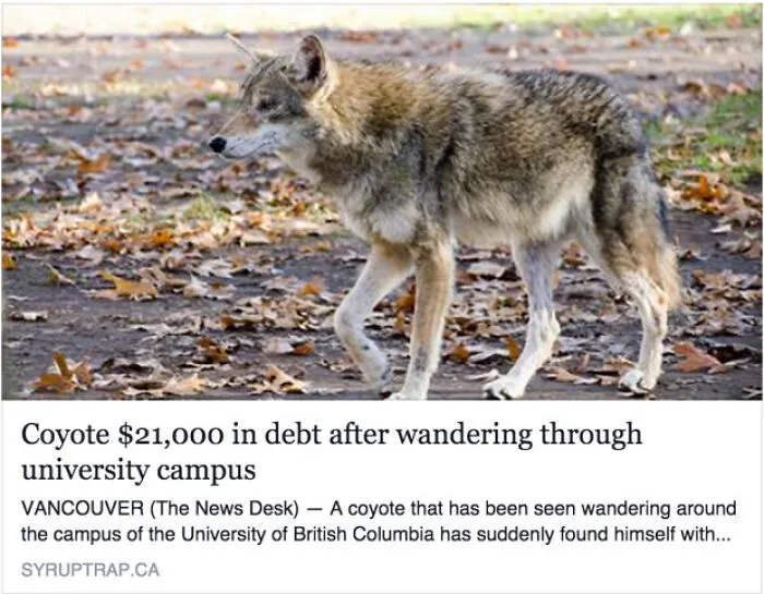 Yup, That's What College Is Like