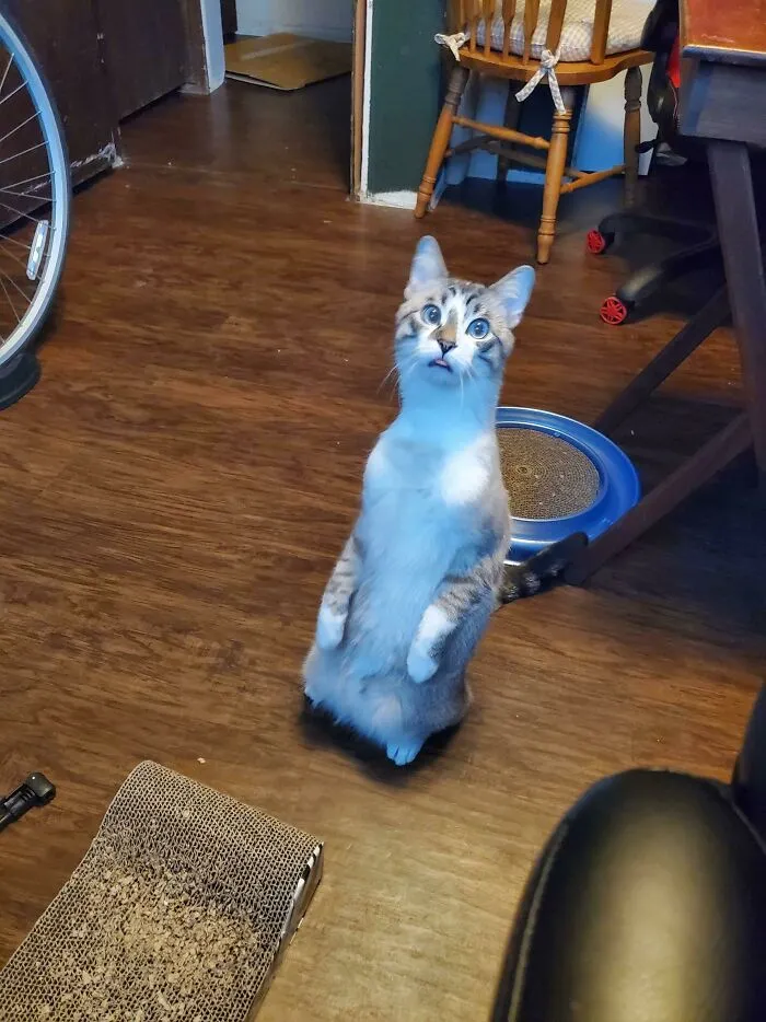 A Noise Happened