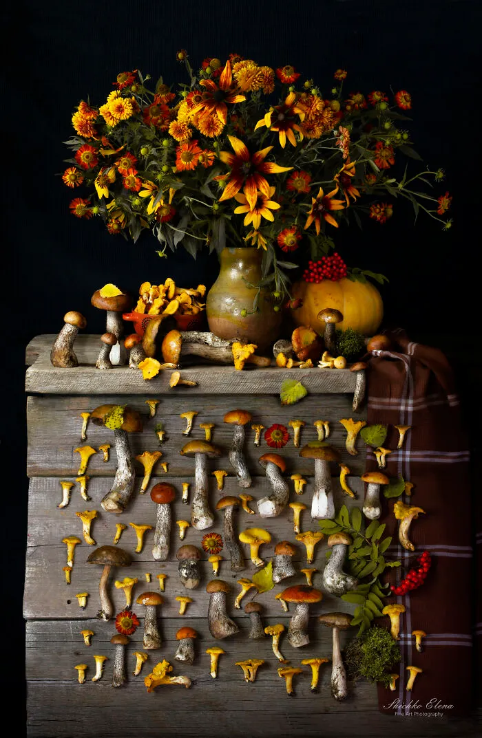 I Show The Fleeting Nature Of Life With My 17 Still Life Photographs
