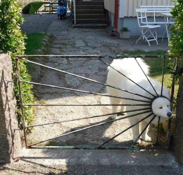 Here Comes The Sun, Do Do Do Do