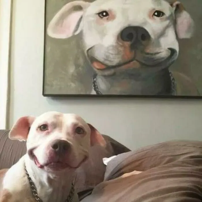 Nailed It