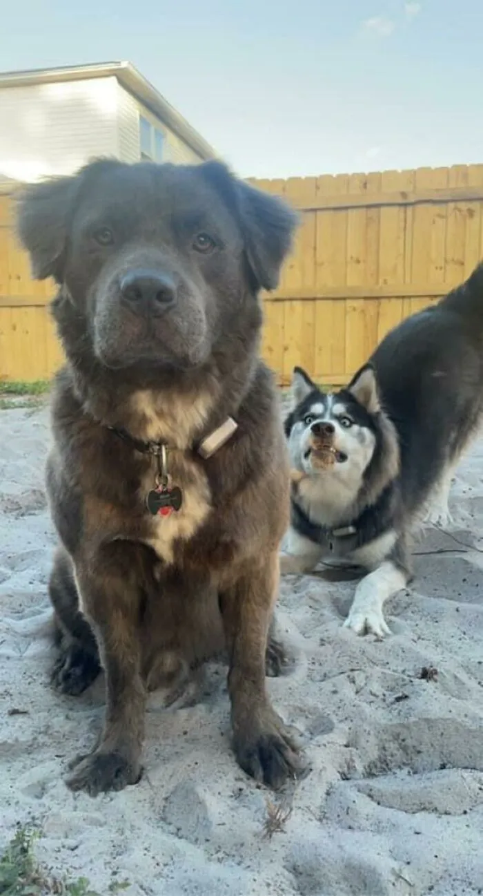 Photobomb
