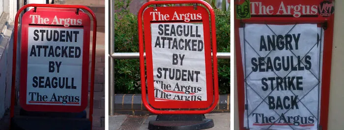 There Is Something Terrifying Happening In Brighton, England