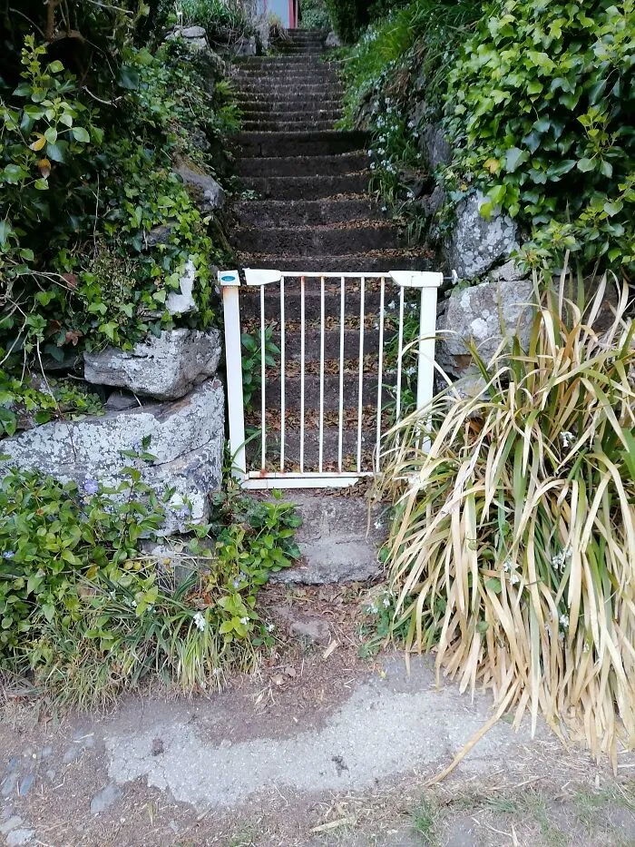 Came Across This House That Uses A Baby's Gate As A House Gate, Interesting Choice