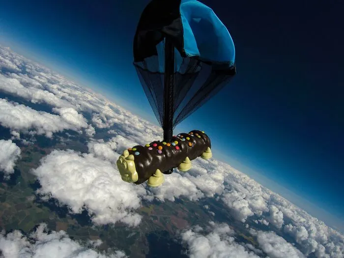 I Took Cuthbert For A Charity Skydive