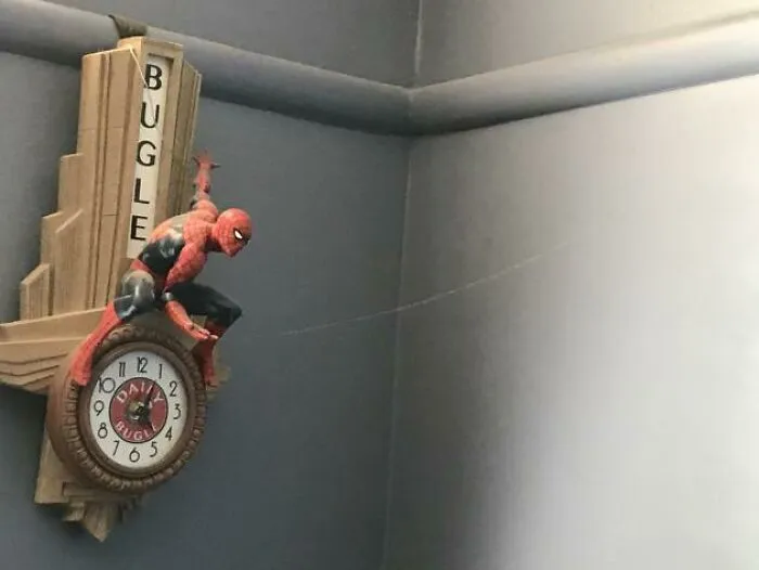 Una telaraña perfectamente colocada