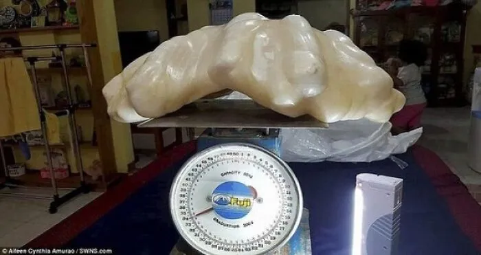 Un pescador filipino se atascó en una roca y decidió llevarla a casa como amuleto de buena suerte