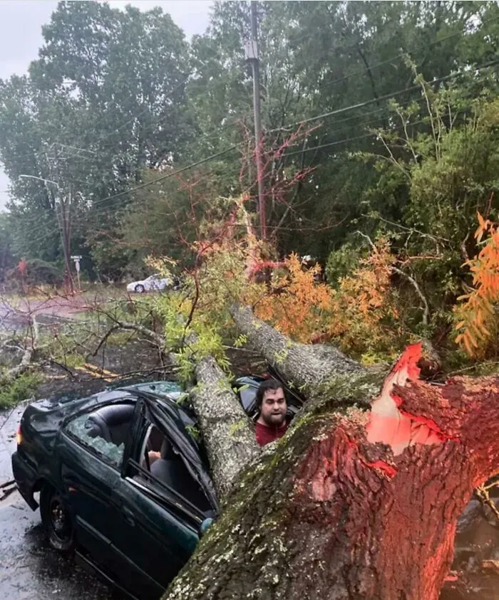 Un hombre evita por poco ser aplastado por un árbol alcanzado por un rayo: "Me sentí como Buster Keaton"