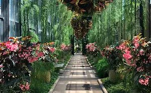 In This Online Group, People Share Examples Of Botanical Wonders And It's Soul-Refreshing (50 Pics)