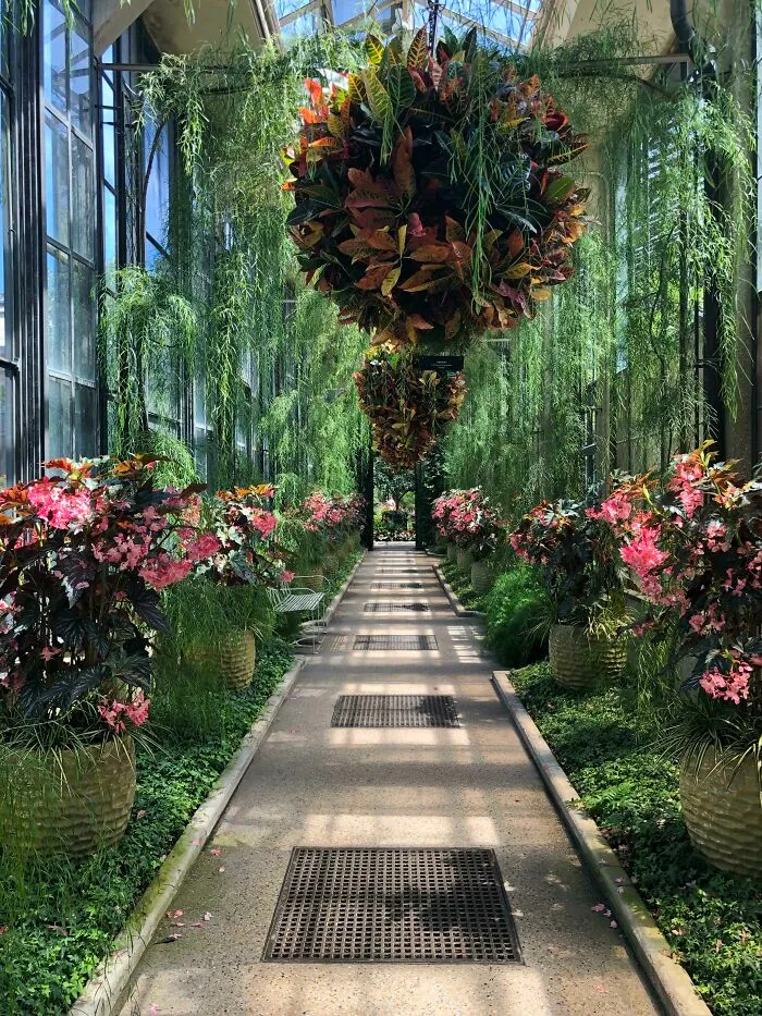 Longwood Gardens From 8/19 - They Took Good Care Of The Place While It Was Closed For Quarantine