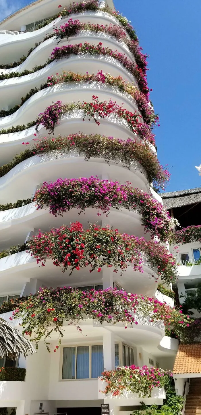 Balcones con buganvillas en Puerto Vallarta