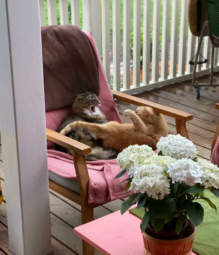 Tried To Capture A Moment Of Friendship And Peace