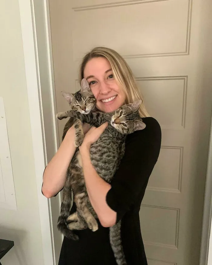 My Entire Life, My Entire Life, I’ve Been Waiting For This Moment, I’ve Been Waiting To Adopt Cats