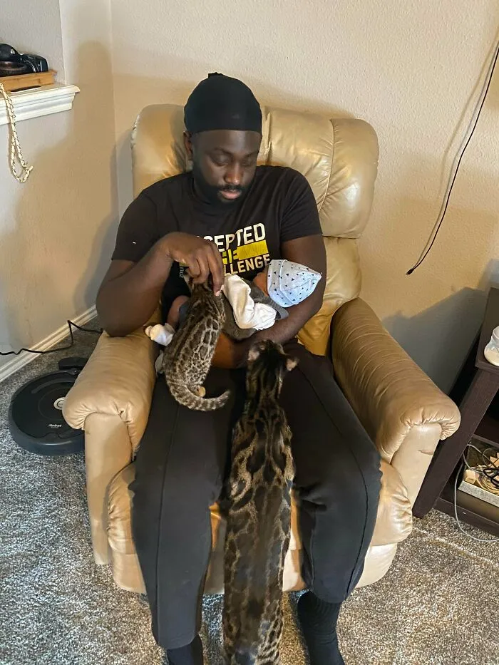 I Introduced My Fur Babies To My Newborn. Going To Be An Interesting Next Few Years
