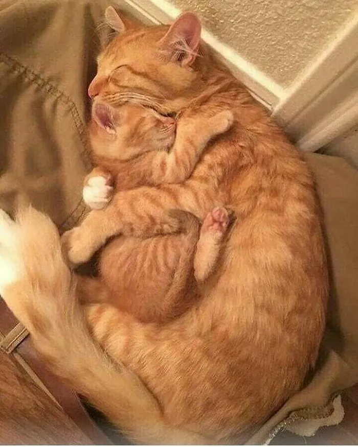 Unconditional Love.!!!!