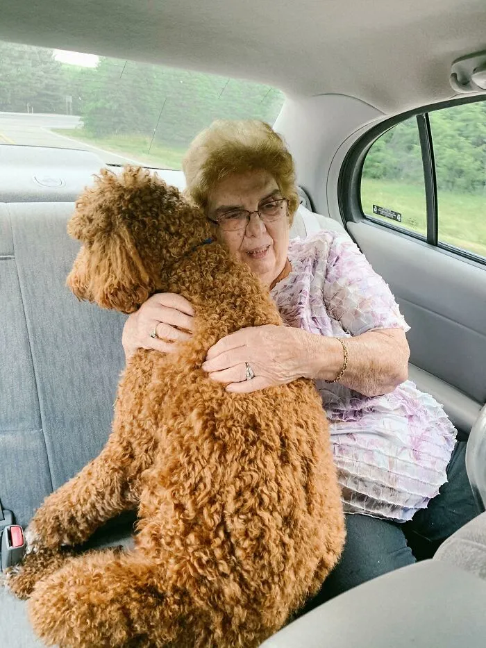 Mi perro se pone muy ansioso en el coche, así que mi abuela le pidió sentarse atrás con él. Durante todo el viaje en coche lo único que escuché fue "Está bien, ya casi llegamos, chico valiente"