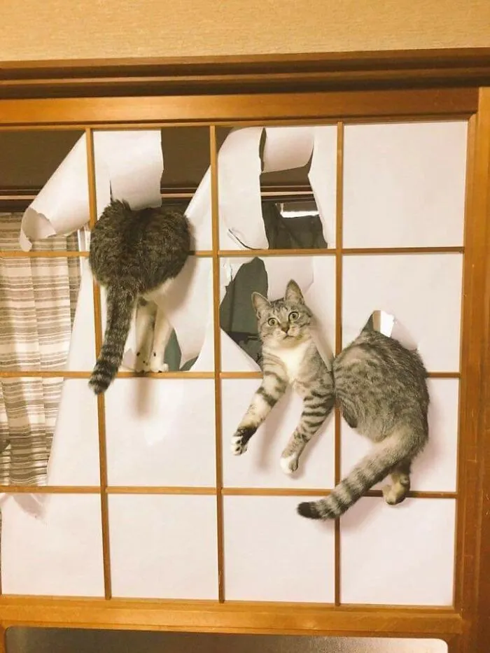 You Werent Supposed To Be Home Till 5pm Karen