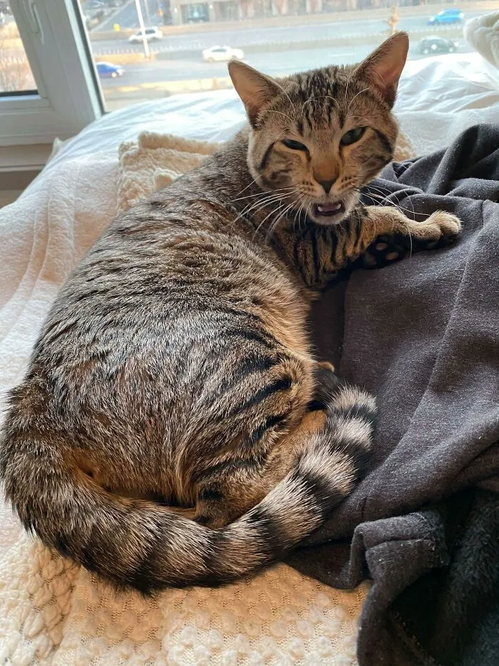 Steve Yelling At Me For Waking Him Up In The Middle Of His Nap