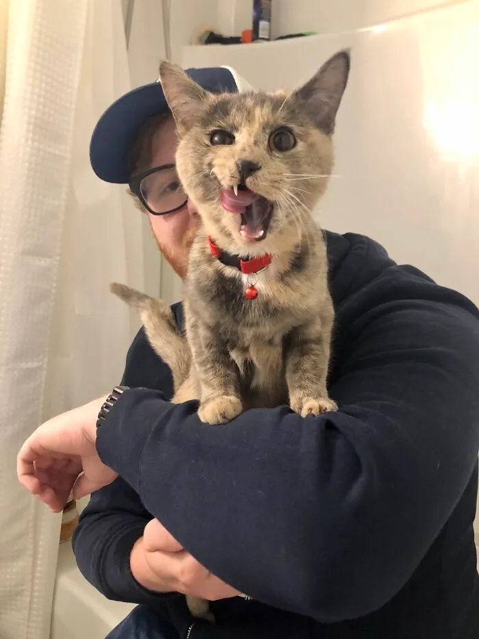 A Month Ago She Showed Up Crying At Our Window. After Searching For Her Owner And Bringing Her To The Shelter, This Weekend We Officially Adopted Our Sweet Little Junie B