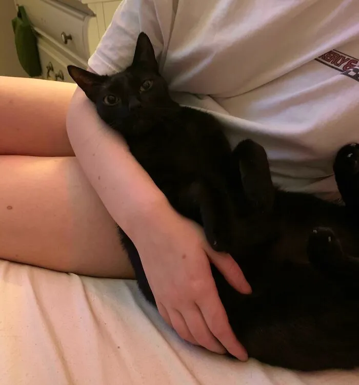 This Baby Had Been Returned To The Shelter By Previous Adopters. I Will Never Understand How Someone Couldn’t Want Him. He Is The Best Companion And He Is My Best Friend